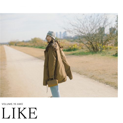 LIKE VOL.10 AMO
